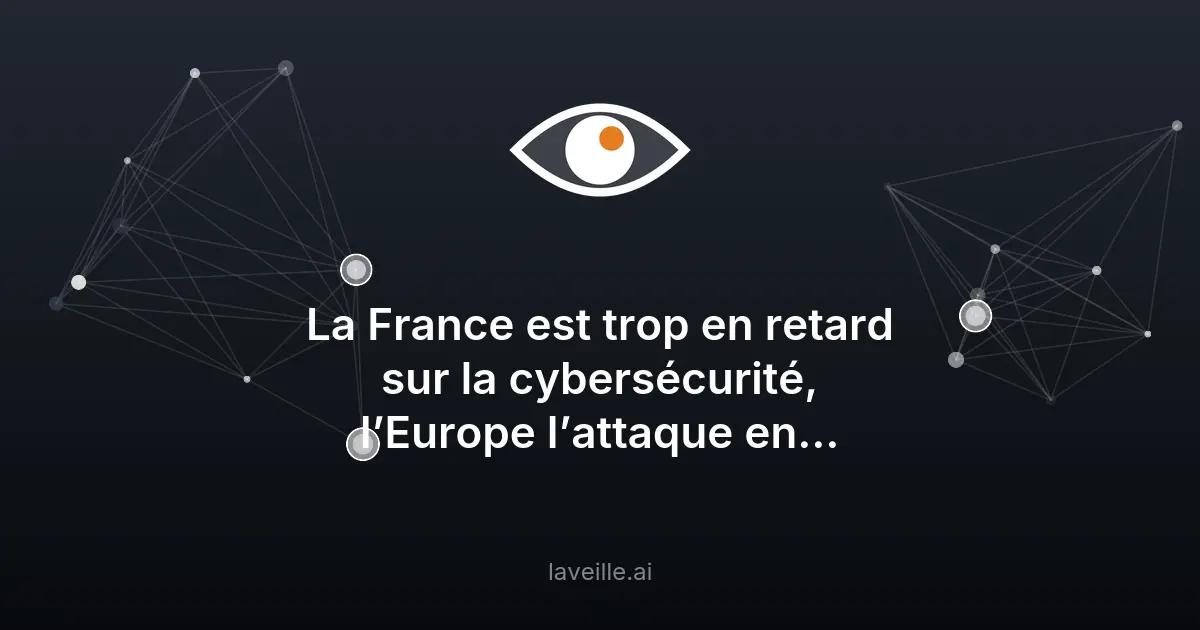 France attaquée en justice pour retard en cybersécurité